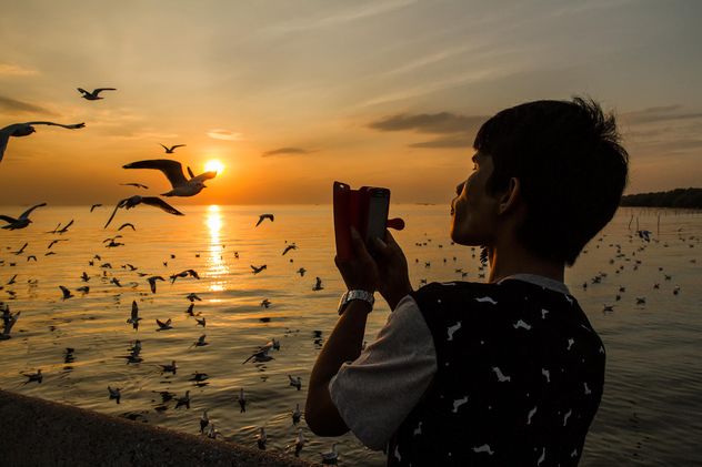 Taking seagulls at sunset - Free image #183919