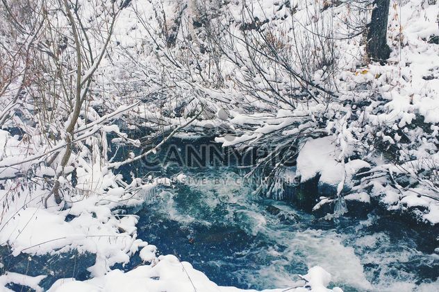 Frozen river in winter forest, Taiga - Free image #183989