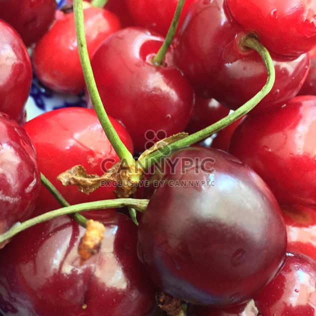 Cherries marco - бесплатный image #185679