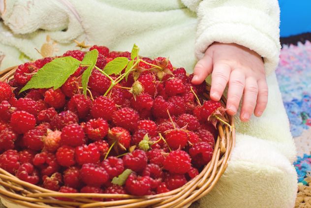 basket of raspberries - Kostenloses image #185889