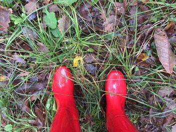Red gumboots - Free image #185899