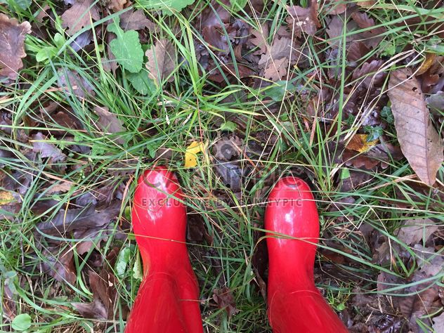 Red gumboots - Free image #185899