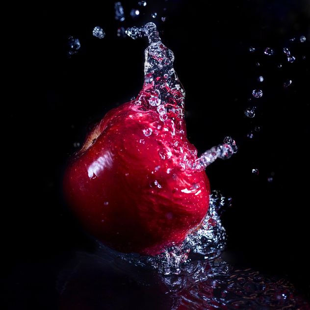 apple in splash - image gratuit #185939 