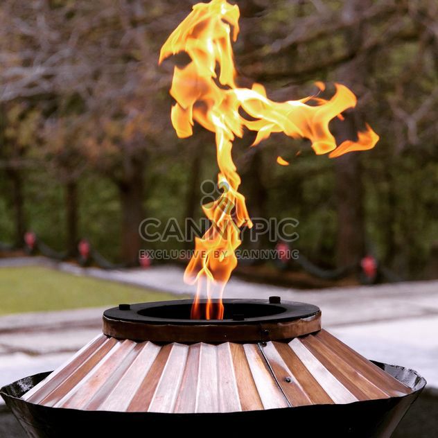 Detail of Eternal Flame - image #186199 gratis