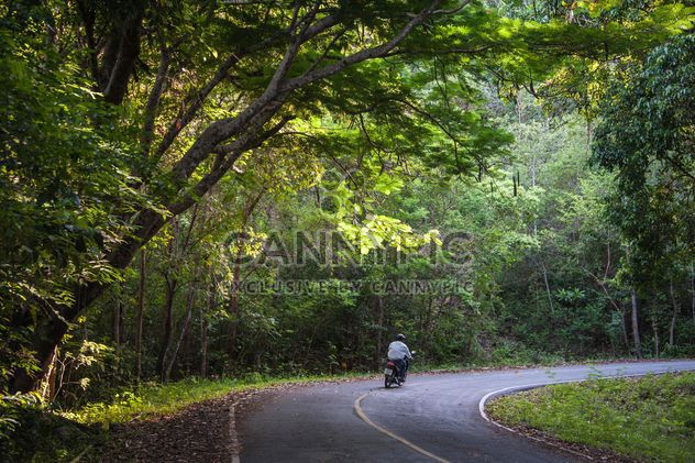 man hiding in the thick forests on the way to a motorbike - image #186449 gratis