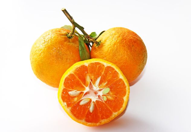 oranges on white background - image #187839 gratis