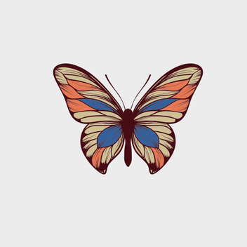 Free Vector Butterfly - vector gratuit #207549 
