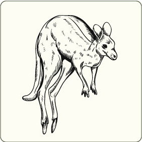 Kangaroo - vector gratuit #207949 