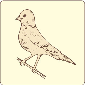 Bird 14 - Kostenloses vector #208799