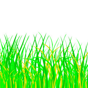 Green Grass - vector gratuit #221449 