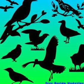 Bird Vectors - vector #223119 gratis