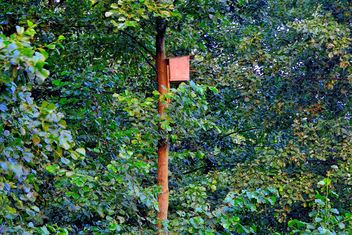 Birdhouse on the tree - Kostenloses image #229359