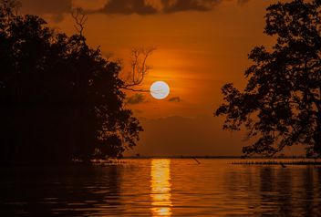 Golden sunset - image gratuit #271789 
