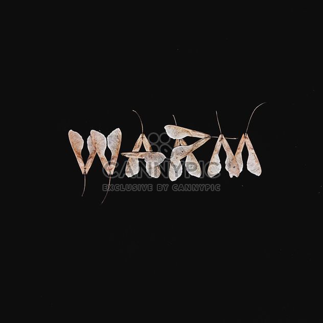 Word warm made of dry leaves on black background - image gratuit #272229 