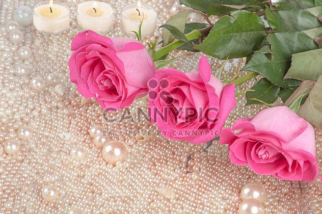 Pink roses, pearls and candles - image gratuit #272549 