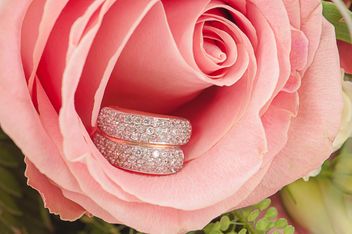 Ring in flower - бесплатный image #272579