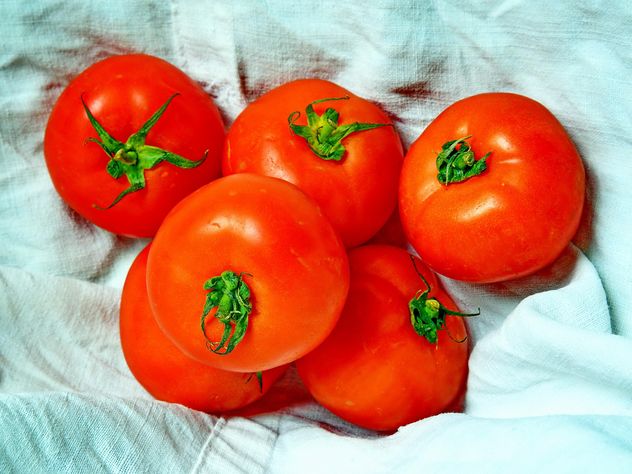 Six Tomatoes - Free image #274829