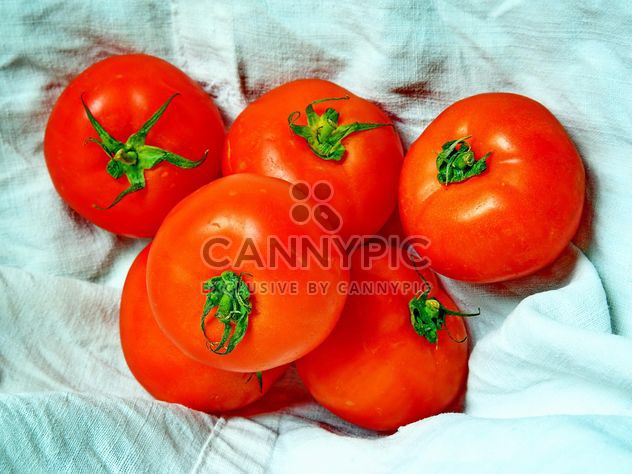 Six Tomatoes - Free image #274829