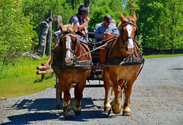 carriage drawn by two horses - image gratuit #274919 