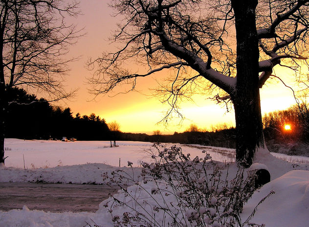 snowy sunset - image gratuit #276129 