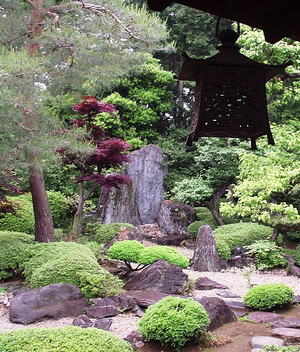 garden trees - 12000 + views - Free image #276859