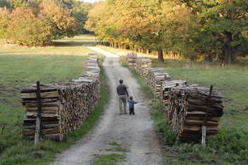 father and son - бесплатный image #277499