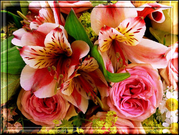 flowers - image #279029 gratis