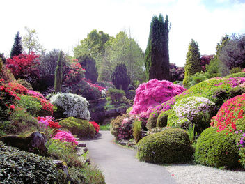 The Rock Garden, Leonardslee Gardens - бесплатный image #279819