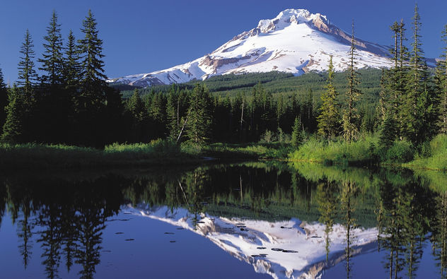 Nature - Mt Hood, Oregon - бесплатный image #279979