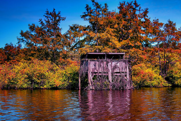 Finch Lake Fall Duck Blind - Kostenloses image #280489