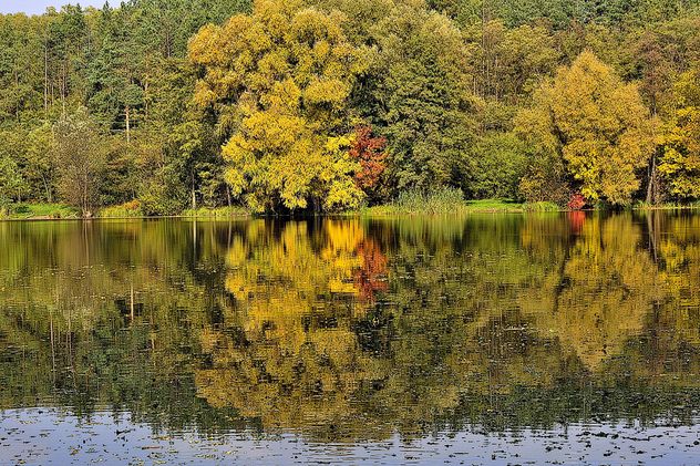 Autumn lake - image #280929 gratis
