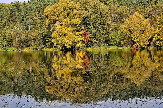 Autumn lake - Kostenloses image #280929