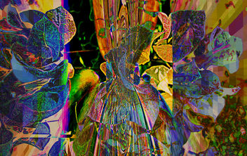 random colored leaves - Free image #285009
