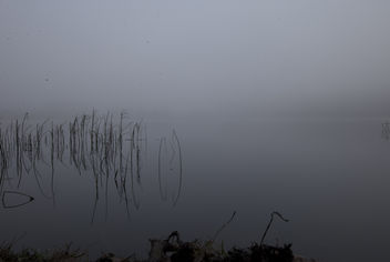 straw fogs - Free image #287629