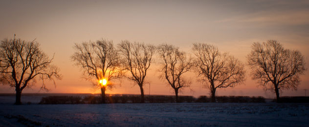 Winter Dawn - image gratuit #287639 