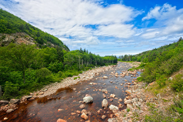 Cabot Trail - HDR - Kostenloses image #288109