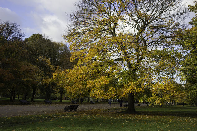 Kensington Park - colours of autumn - image gratuit #290259 