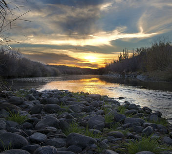 Salt River in Mesa AZ - Free image #290889