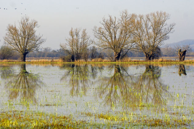 Flood Plain, Coombe Hill Nature Reserve, Gloucestershire - Free image #293159