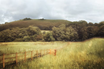 rural dorset scene - бесплатный image #294069