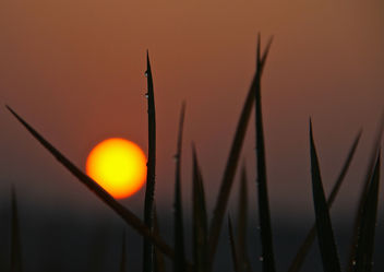 sunrise - image #294339 gratis