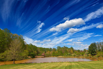 Meadowlark Gardens - HDR - Free image #294979