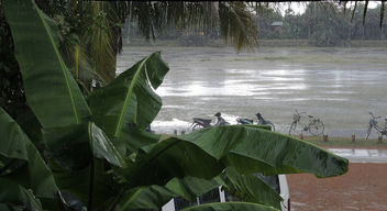 Siem Reap-Heavy Rain - бесплатный image #296499