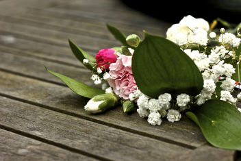 Mother's Day - Free image #296679