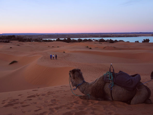 Morocco-Sunset at desert3 - Free image #296749
