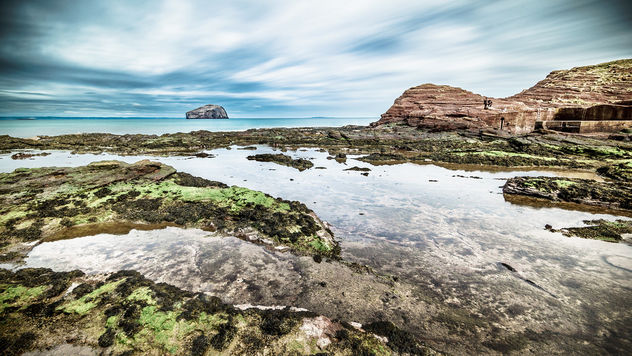 Bass rock, North Berwick, Scotland, United Kingdom - Landscape photography - image gratuit #297289 