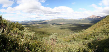 Denali Landscape - Kostenloses image #297339