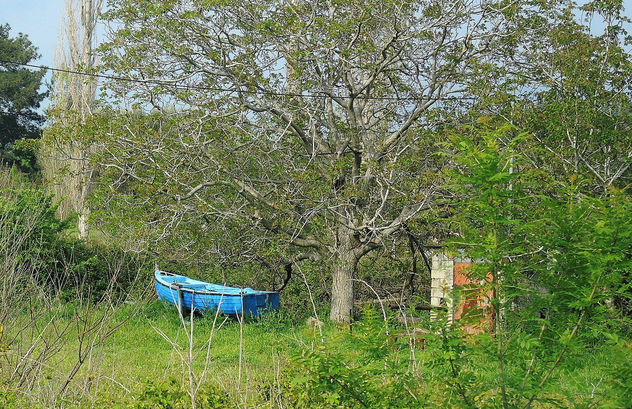 Greece (Lesvos Island)-Blue boat at rest in woods!! - Kostenloses image #299449