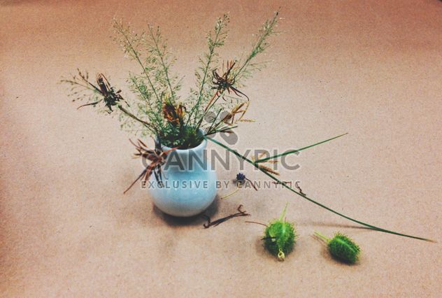 Dry flowers in a vase - Kostenloses image #301389