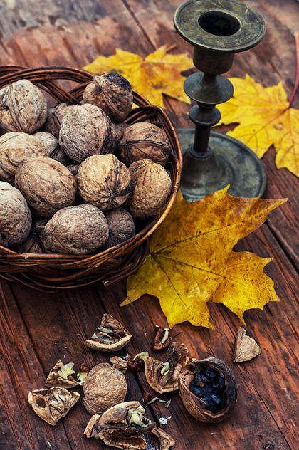 Walnuts, yellow leaves and candlestick - Free image #301989